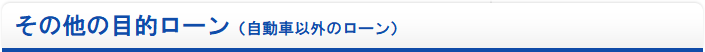 その他の目的ローン（自動車以外のローン）